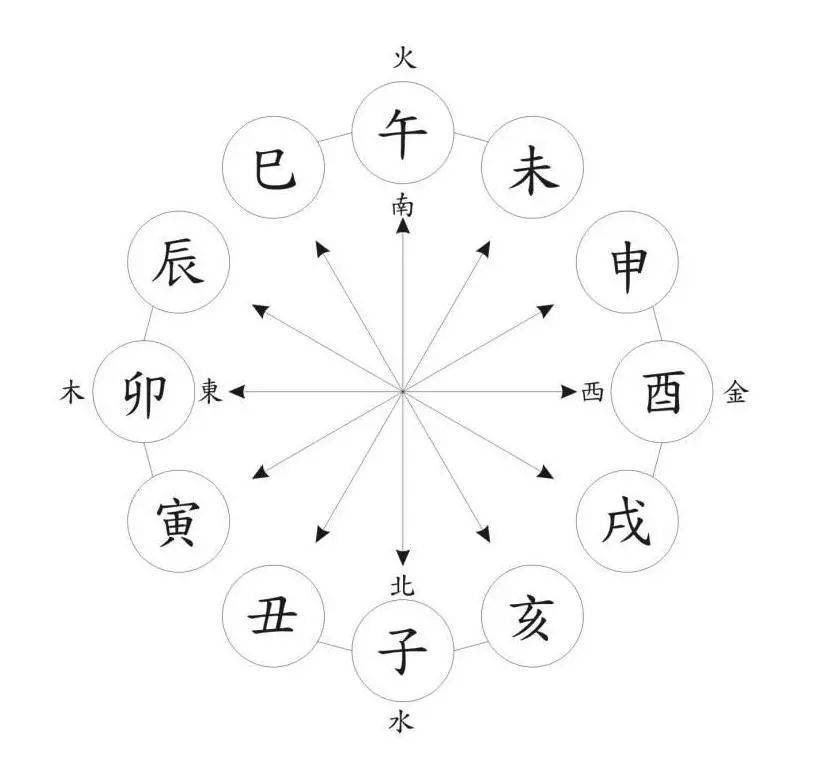 一肖一码,一肖一码，探索数字与生肖的奥秘