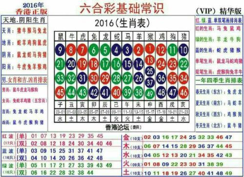 2024十二生肖49码表,揭秘2024十二生肖与数字彩票的奇妙结合——十二生肖49码表全解析