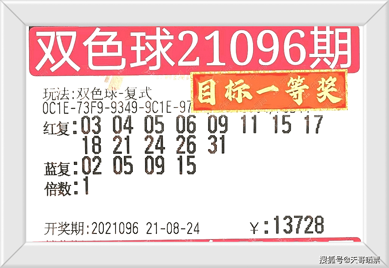 今晚澳门特马开的什么号码2025,今晚澳门特马开出的神秘号码，探索未来的幸运之门（2023年预测分析）