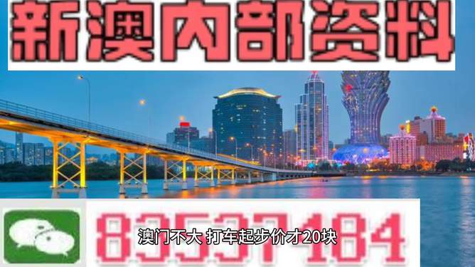 新澳门2025年资料大全宫家婆,新澳门2025年资料大全宫家婆，探索与解读