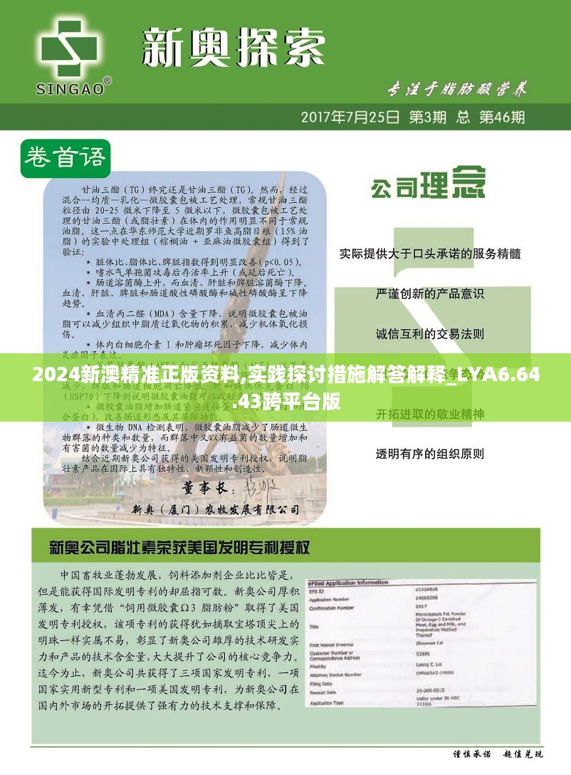 2025新奥精准资料免费大全078期,新奥精准资料免费大全（第078期）——探索未来的关键指南（附深度解析）