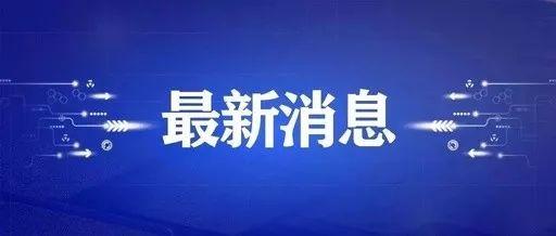 2025新澳门原料免费462,探索澳门原料市场的新机遇，迈向2025的展望与免费策略的实施